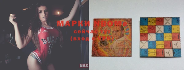 Альфа ПВП Аркадак