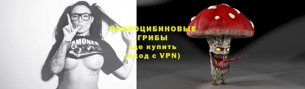ешки Переславль-Залесский