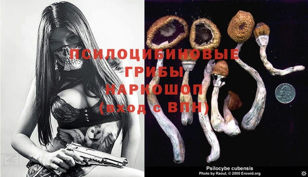 Альфа ПВП Аркадак