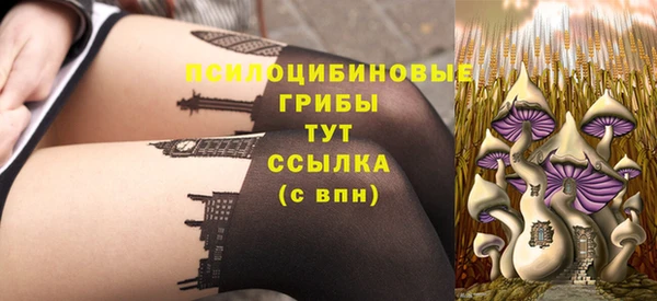 шишки Пестово